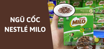 Ngũ cốc Milo có tốt không? Thành phần và giá trị dinh dưỡng