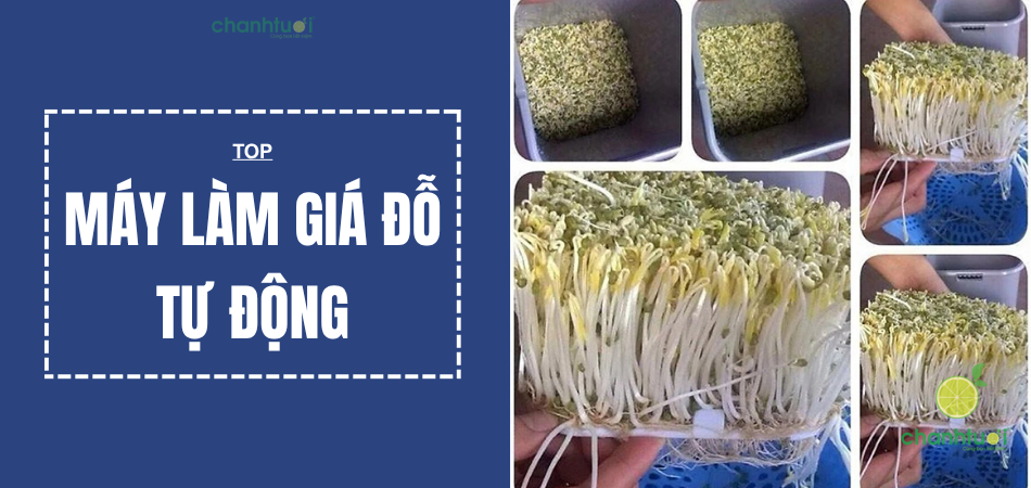 top-may-lam-gia-do-tu-dong-add