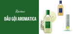 dau-goi-aromatica-thumb