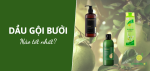 dau-goi-buoi-thumb