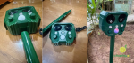 comment/may-duoi-chuot-3.png