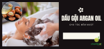 top-dau-goi-argan-oil-add
