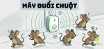 top-may-duoi-chuot-add