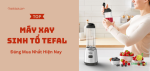 may-xay-sinh-to-tefal-8