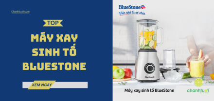 Máy xay sinh tố Bluestone tốt nhất