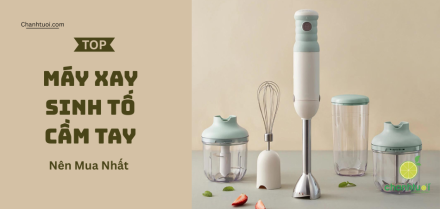 Máy xay sinh tố cầm tay tốt nhất