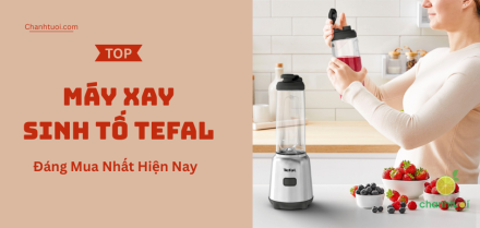 Máy xay sinh tố Tefal tốt nhất