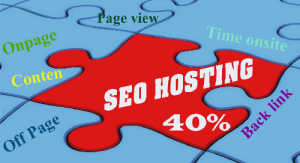 Giam-gia-SEO-Hosting-right