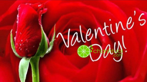 valentine-ngot-ngao