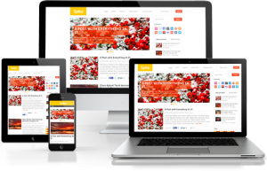 voucher-mythemeshop