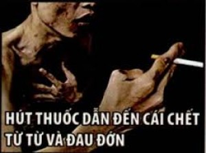 suc_khoe