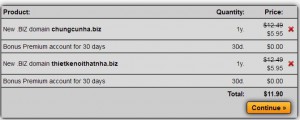 domain-biz-asia