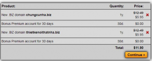 domain-biz-asia