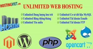 Hosting-khong-gioi-han-20