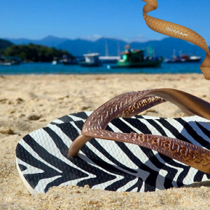 maison-giam-gia-dep-havaianas-50-2
