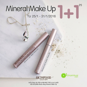 skinFood-buy-1-get-1-1