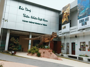 bao-tang-thien-nhien-viet-nam
