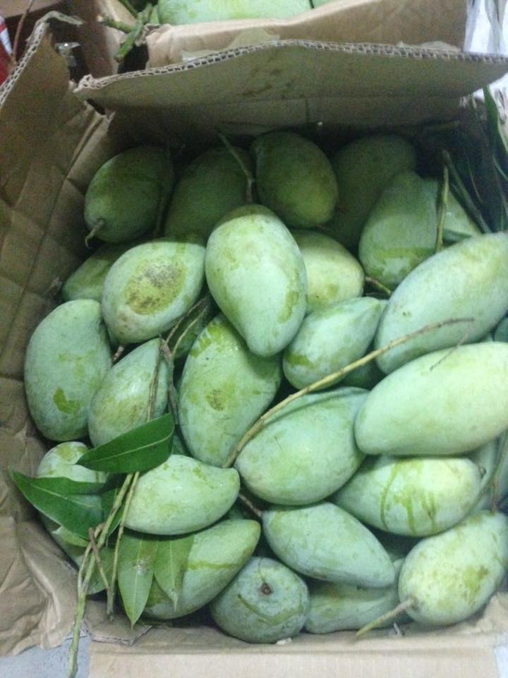 dia-chi-mua-xoai-giai-cuu-nong-dan-dinh-quan-tai-ha-noi-hcm-4