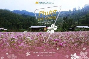 thang-10-ru-nhau-du-lich-ha-giang-ngam-hoa-tam-giac-mach-3