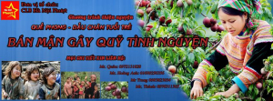 ban-man-moc-chau-gay-quy-ung-ho-ba-con-huyen-que-phong-gia-30kkg