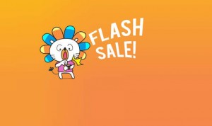 flash-sale