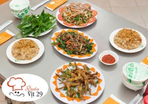 set-vit-29-day-dan