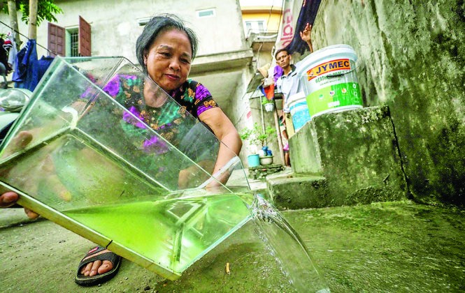 Phòng chống bệnh sốt xuất huyết