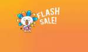 flash-sale