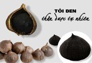 toiden-gaali-vn-1