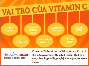 vai-tro-cua-vitamin-c-2