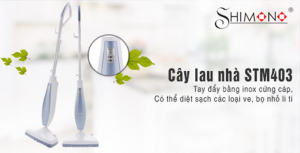 cay-lau-nha-hoi-nuoc-02