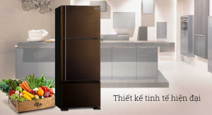 tu-lanh-inverter-mitsubishi-01