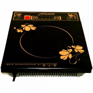 bep-hong-ngoai-happycall-01