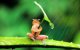 download-1522307625