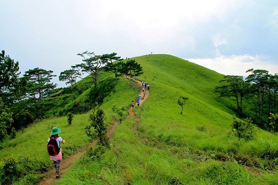 Địa điểm du lịch Đà Lạt - Trekking Tà Năng - Phan Dũng