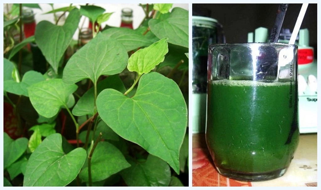 trị bệnh táo bón cho trẻ sơ sinh