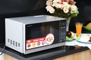 lo-vi-song-sharp-r-g272vn-s-20-lit-1-1