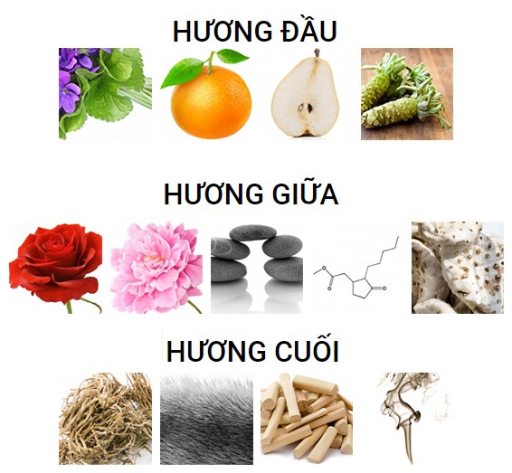 nước hoa ck