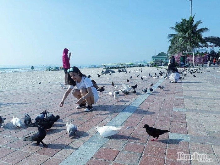 những địa điểm vui chơi ở đà nẵng