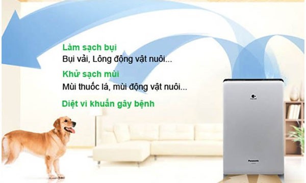 máy lọc không khí