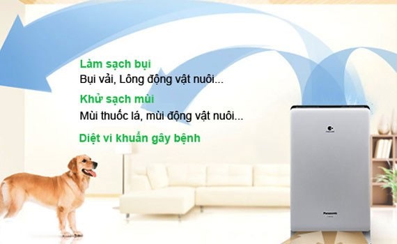 máy lọc không khí