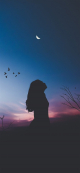 papers-co-nx24-night-sky-dark-woman-fly-bird-nature-41-iphone-wallpaper-640