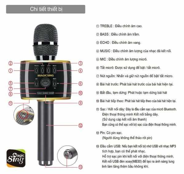 Micro karaoke bluetooth