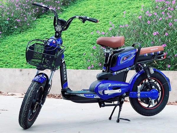 xe đạp điện giá rẻ