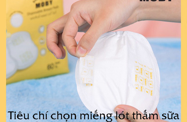miếng lót thấm sữa