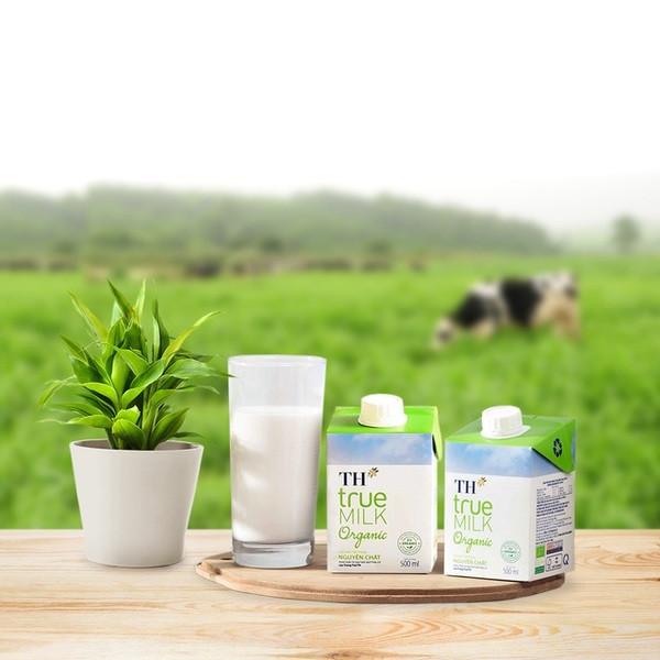 Bà bầu uống sữa tươi không đường