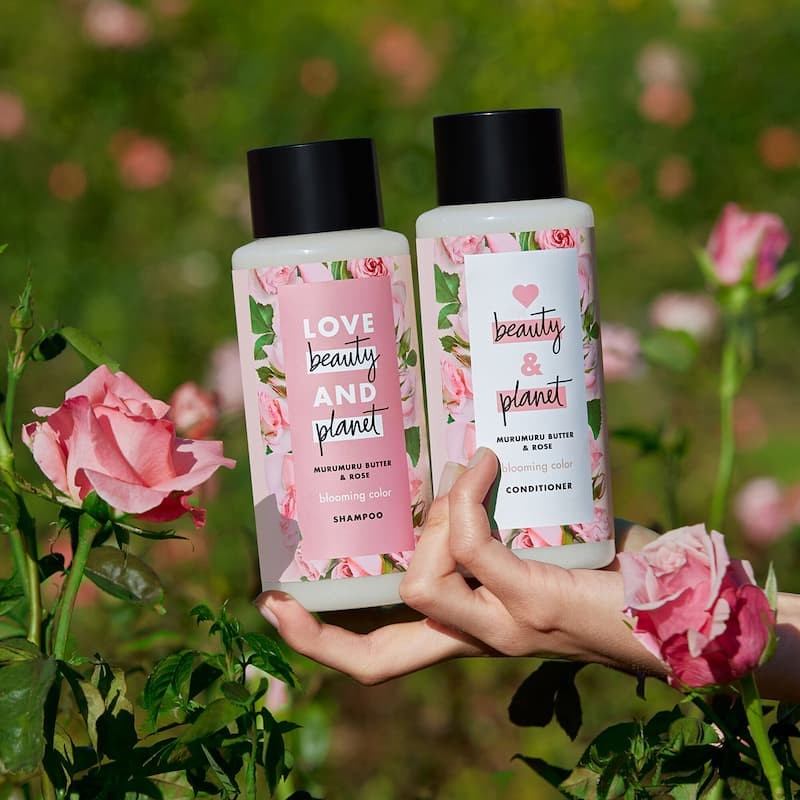 Dầu gội & dầu xả Love beauty and Planet