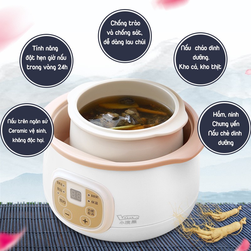 Nồi nấu cháo Lotor dung tích 1L