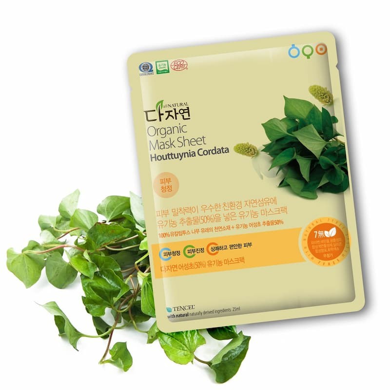 All Natural Mask Sheet Houttuynia Cordata