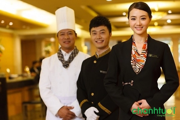 các ngành Hot hiện nay